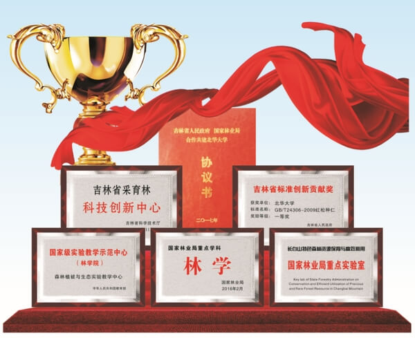 北华大学林学院荣誉证书