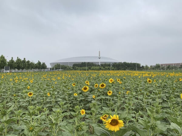 河北工程大学园林与生态工程学院风景