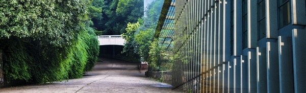 华中农业大学植物科学技术学院