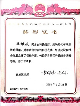 新疆大学电气工程学院
