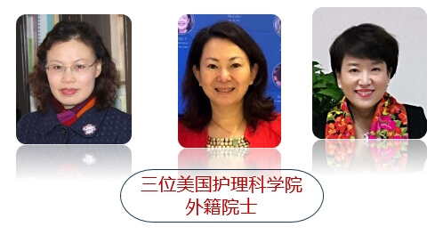 外籍客座教授