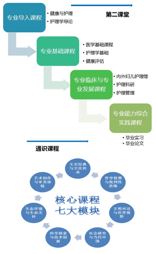 培养过程