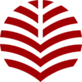 中国青年政治学院