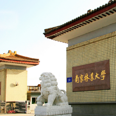 南京林业大学