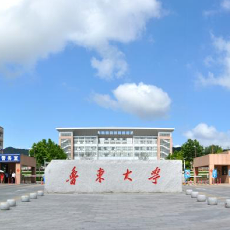 鲁东大学