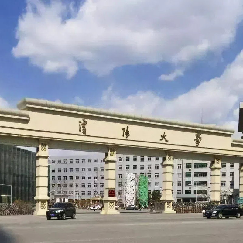 沈阳大学