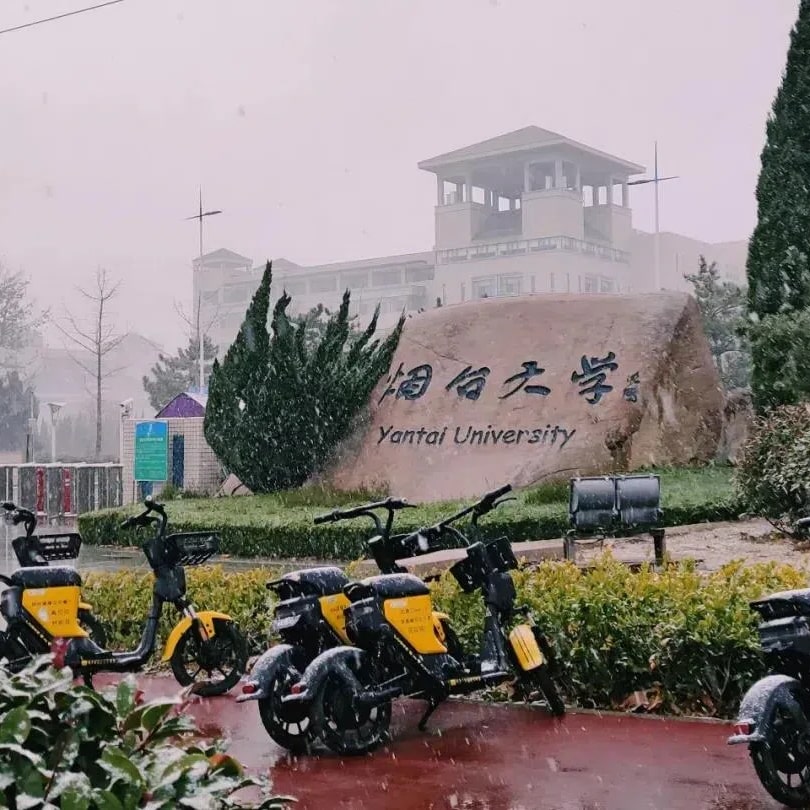 烟台大学