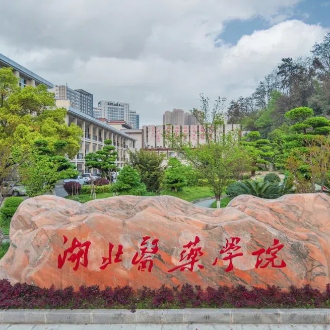 湖北医药学院