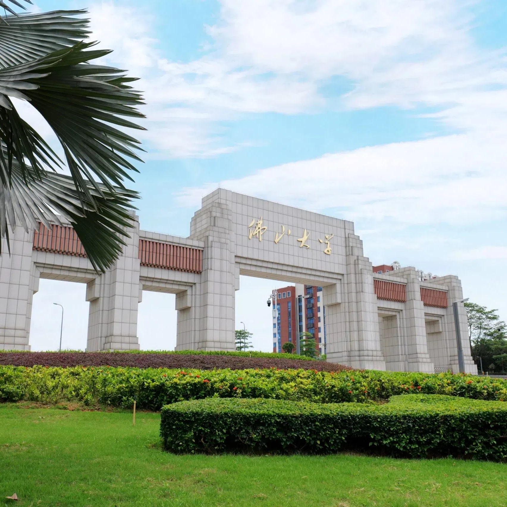 佛山大学