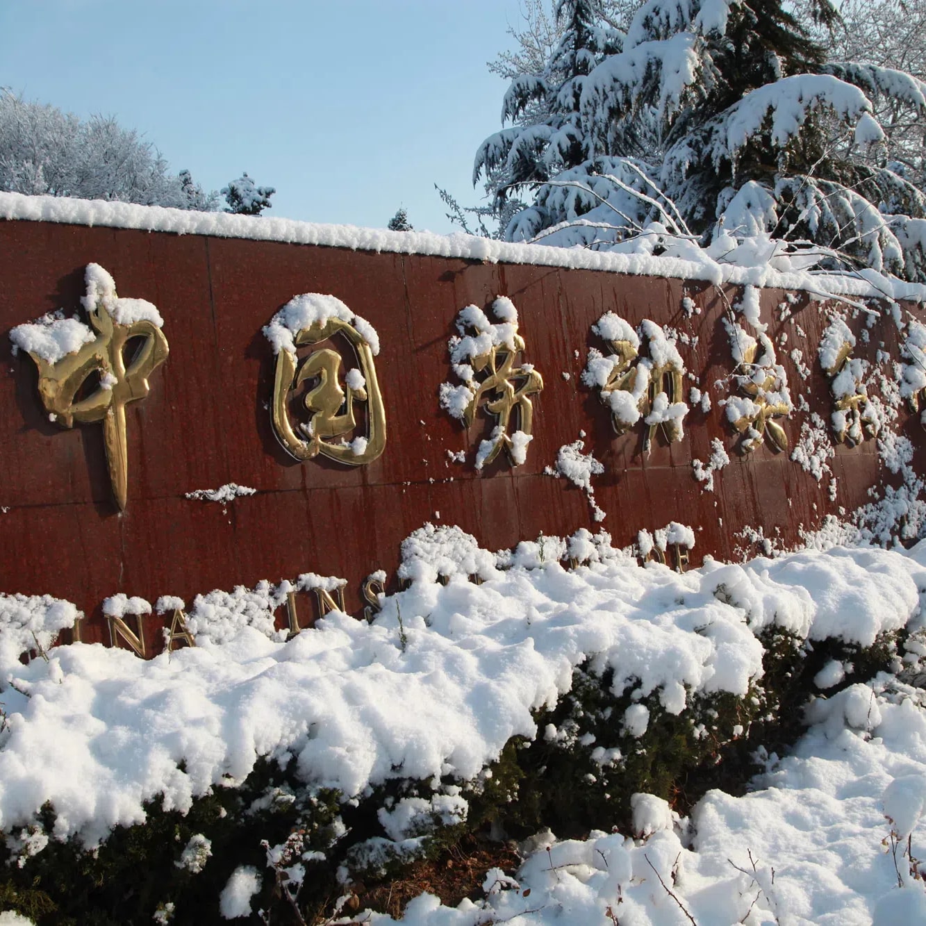 中国劳动关系学院