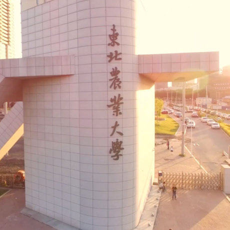 东北农业大学