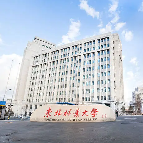 东北林业大学