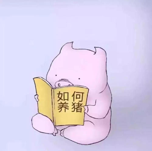 动物们