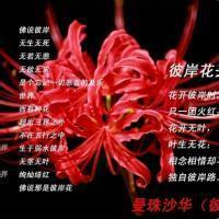 对不起