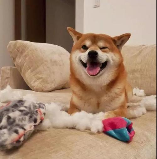 二重身