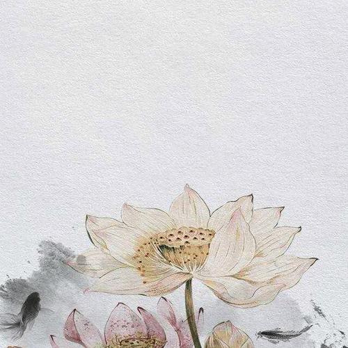 丰山犬