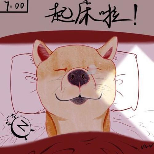 歌情人