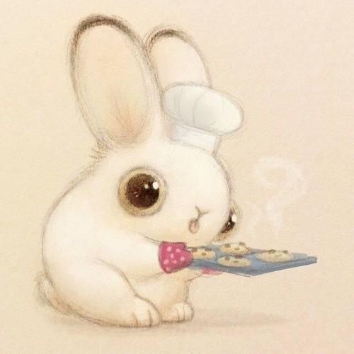 鸽之翼