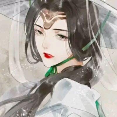 红豆杉