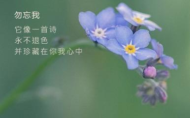 花灯记