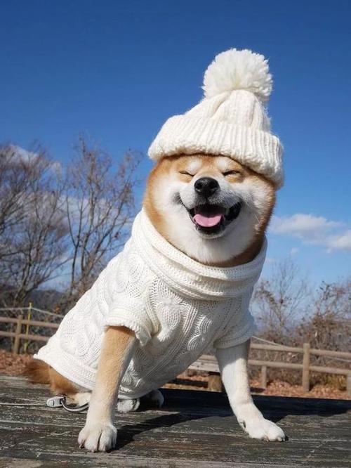黄头发
