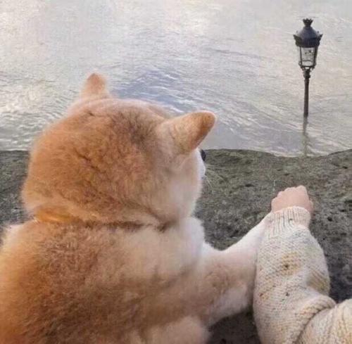殉难者