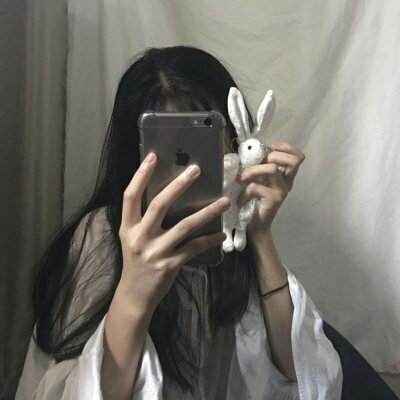 贾奉雉