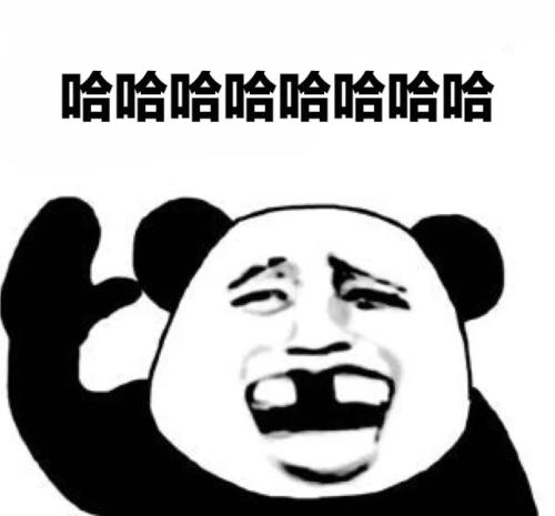 开放日