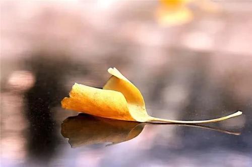 雨中情