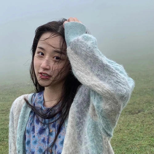 葵花劫