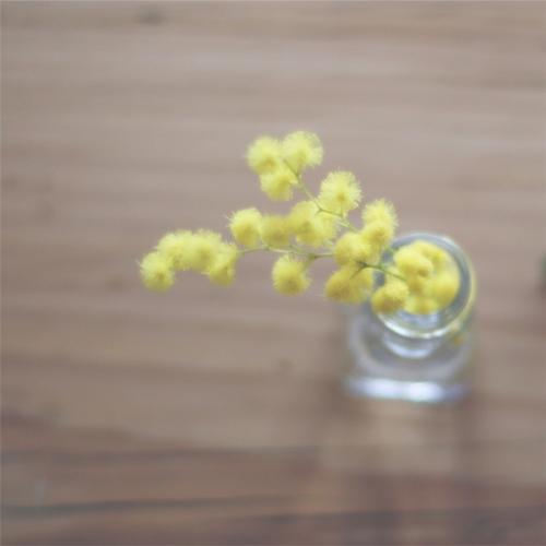 玉蒲团