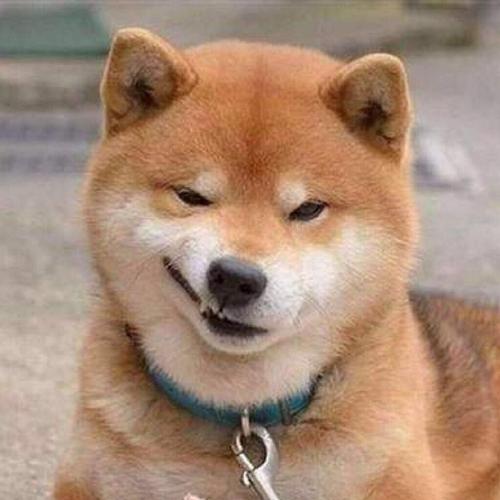 狼图腾