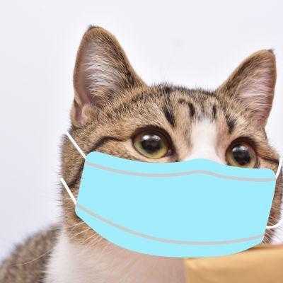 老族谱