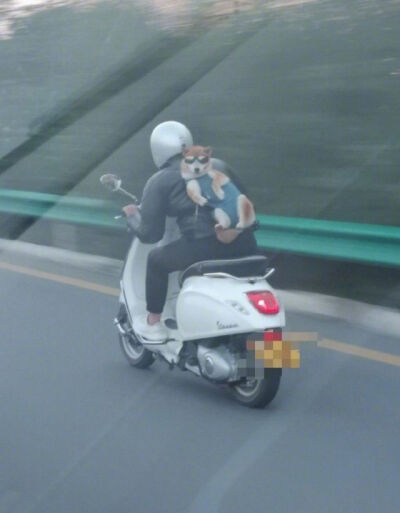 美国佬