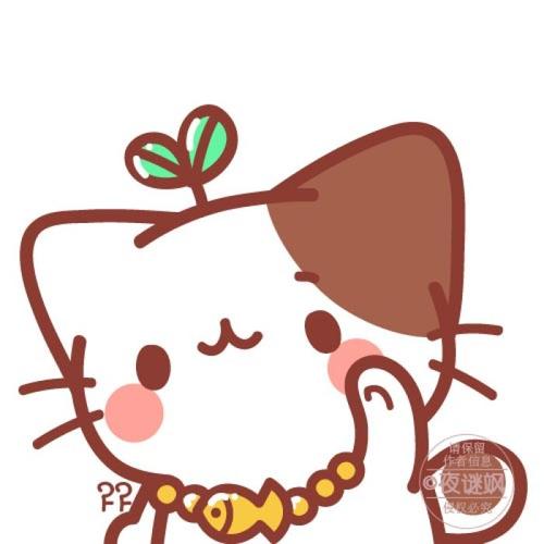 美男子