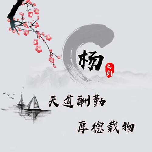 美洲狮