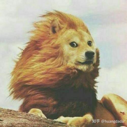 慕尼黑