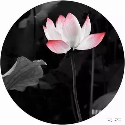 暗意物也