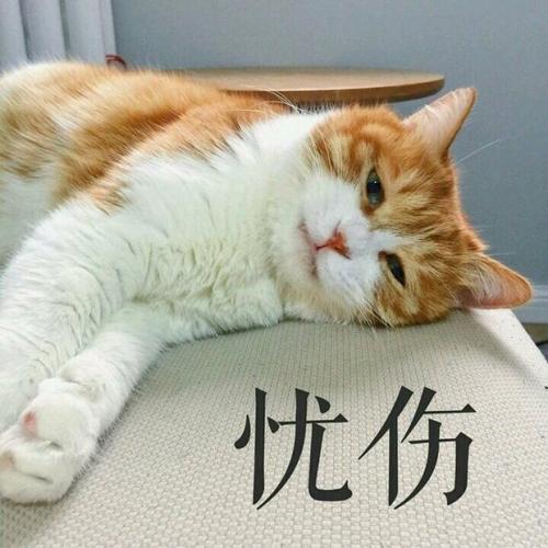 彼出于是