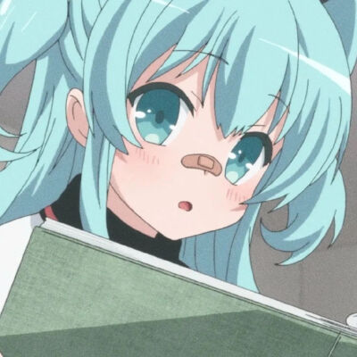 不可止也