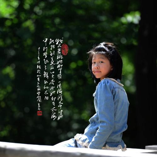 不歧于众