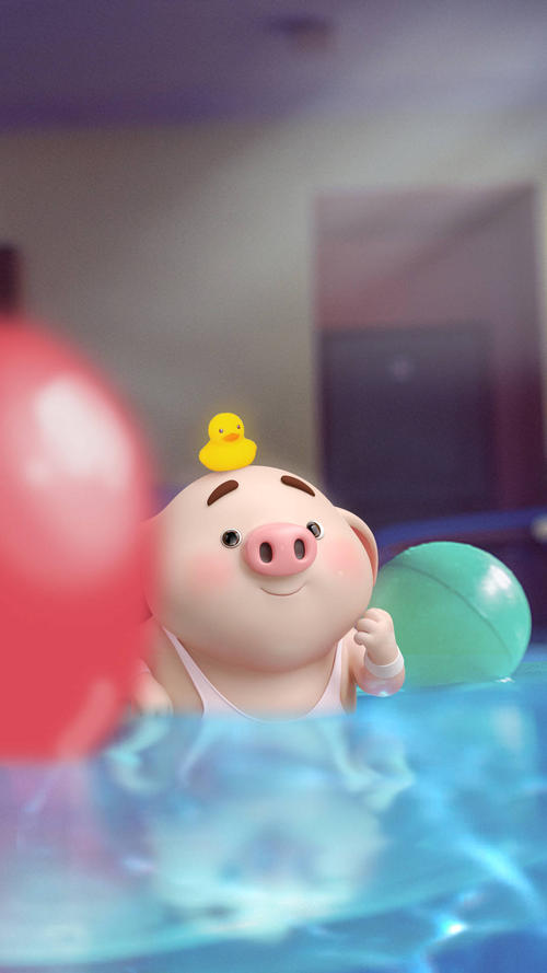 不知贵真