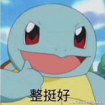 八尾猫