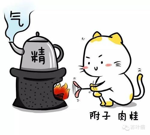 传其常情