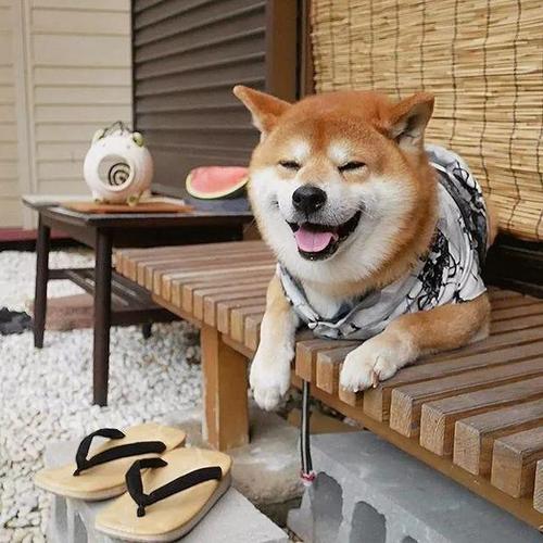 锤凿决焉