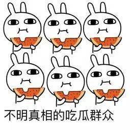 得石椁焉