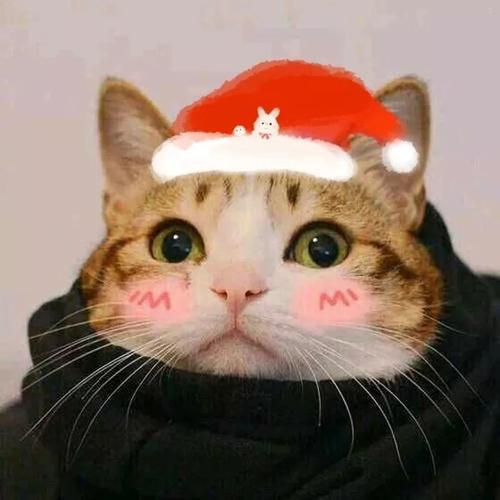 德在乎天