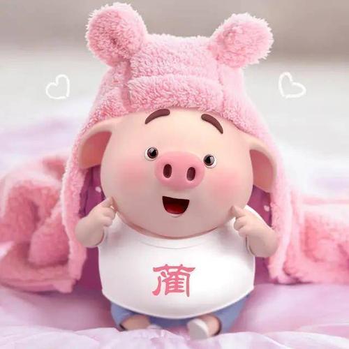 恶乎介也
