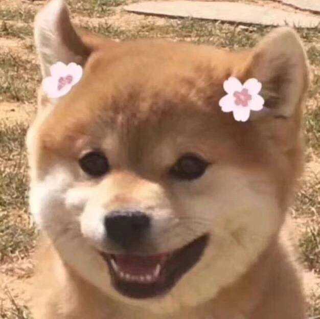 宝贝儿