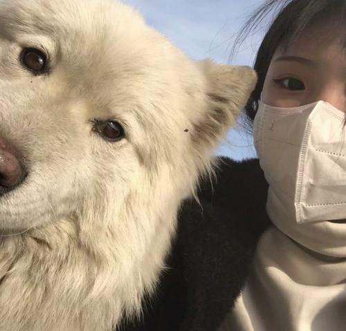 风起北方